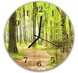 Nástenné hodiny okrúhle pr.30cm listnatý les a chodník - plexi