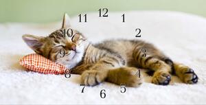 Nástenné hodiny mačka 30x60cm XII - plexi