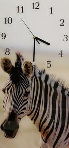 Nástenné hodiny zebra 30x60cm I - plexi