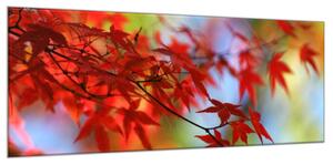 Obraz sklenený vetva list červený javor - 50 x 100 cm