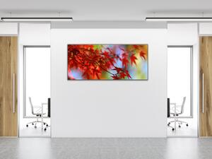 Obraz sklenený vetva list červený javor - 30 x 40 cm