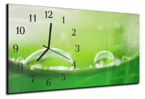 Nástenné hodiny 30x60cm - detail rosy na zelenom - plexi