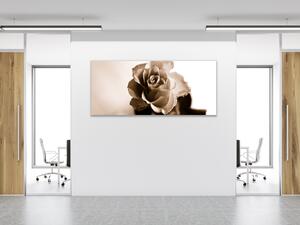 Obraz sklenený kvet ruže - slonová kosť - 50 x 100 cm