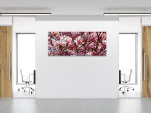 Obraz sklenený ker a kvety ružovej magnólie - 40 x 60 cm