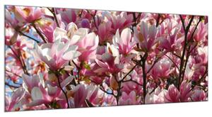 Obraz sklenený ker a kvety ružovej magnólie - 30 x 40 cm