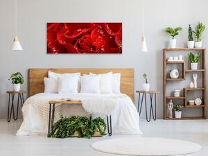 Obraz sklenený detail kvetu červená ruža - 50 x 100 cm