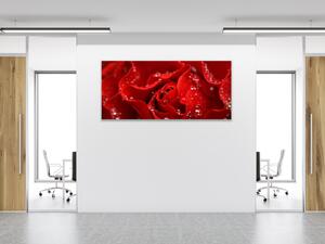 Obraz sklenený detail kvetu červená ruža - 30 x 40 cm