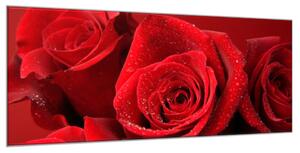 Obraz sklenený detaily kvetov červených ruží - 50 x 100 cm