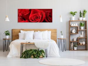 Obraz sklenený detaily kvetov červených ruží - 30 x 40 cm
