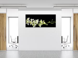 Obraz sklenený bielo žltá orchidea - 50 x 100 cm