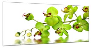 Obraz sklenený žltočervená orchidea nad hladinou - 30 x 40 cm