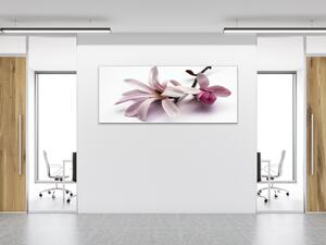 Obraz sklenený kvet ružovej magnólie na bielom pozadí - 30 x 40 cm