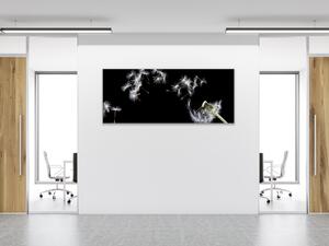 Obraz sklenený odkvitnutá púpava a letiaca páperie - 30 x 40 cm