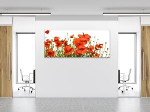 Obraz sklenený kvety vlčie maky na bielom pozadí - 50 x 100 cm