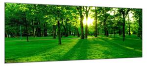 Obraz sklenený slnko presvitá stromy v parku - 30 x 40 cm