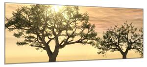 Obraz sklenený strom v západu slnka - 40 x 60 cm