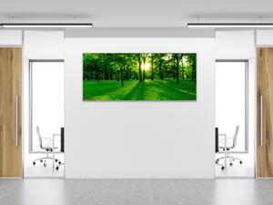 Obraz sklenený slnko presvitá stromy v parku - 52 x 60 cm