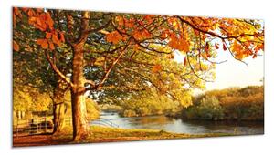 Obraz sklenený jesenný strom s lavičkou pri rieke - 40 x 60 cm