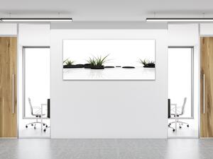 Obraz sklenený tráva a čierny kameň na bielom pozadí - 30 x 60 cm
