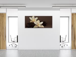 Obraz sklenený orchidea a vanilkový struk - 50 x 100 cm
