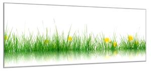 Obraz sklenený tráva s rozkvitnutou púpavou - 50 x 100 cm