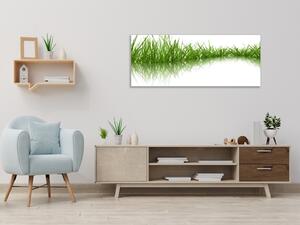 Obraz sklenený zelená tráva odraz v hladine - 50 x 100 cm