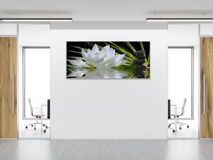 Obraz sklenený biely kvet lekna na hladine - 30 x 60 cm
