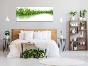 Obraz sklenený zelená tráva odraz v hladine - 30 x 60 cm