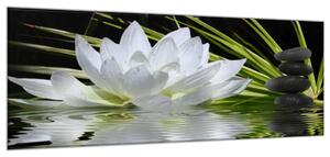 Obraz sklenený biely kvet lekna na hladine - 40 x 60 cm