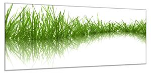 Obraz sklenený zelená tráva odraz v hladine - 30 x 60 cm