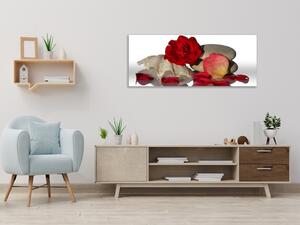Obraz sklenený kvet a lístky červenej ruže na mušli - 30 x 60 cm