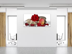 Obraz sklenený kvet a lístky červenej ruže na mušli - 50 x 100 cm