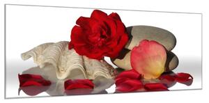 Obraz sklenený kvet a lístky červenej ruže na mušli - 40 x 60 cm