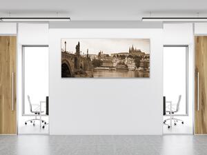 Obraz sklenený Praha - 50 x 100 cm