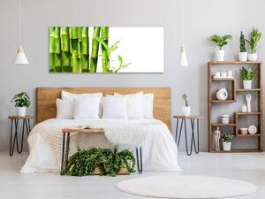 Obraz sklenený detail bambus zelený na bielom pozadí - 30 x 40 cm