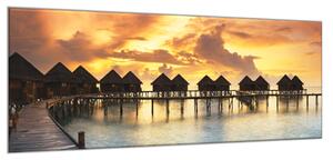 Obraz sklenený tropický západ slnka - 30 x 60 cm