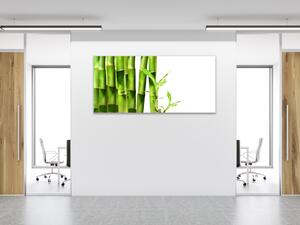 Obraz sklenený detail bambus zelený na bielom pozadí - 34 x 72 cm