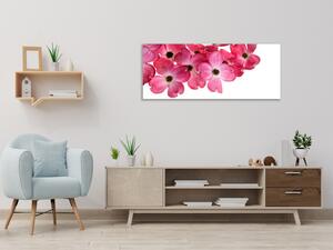 Obraz sklenený ružové kvety na bielom pozadí - 30 x 60 cm