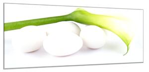 Obraz sklenený kvet biela kala a vajcia - 50 x 100 cm