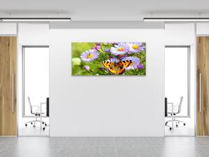 Obraz sklenený lúčne kvety s motýľom - 30 x 60 cm
