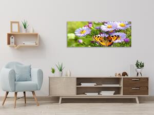 Obraz sklenený lúčne kvety s motýľom - 50 x 100 cm