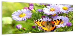 Obraz sklenený lúčne kvety s motýľom - 40 x 60 cm