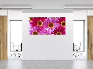 Obraz sklenený kvety ružové a červené margaréty - 50 x 100 cm