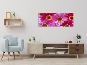Obraz sklenený kvety ružové a červené margaréty - 50 x 100 cm