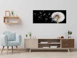 Obraz sklenený kvet odkvitnutá púpava a letiace padáčky - 50 x 100 cm