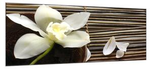 Obraz sklenený kvet orchidea na bambusovej podložke - 50 x 100 cm