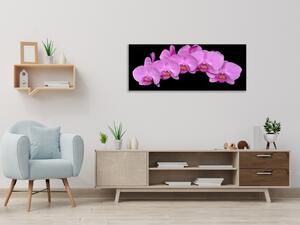 Obraz sklenený kvety fialová orchidea na čiernom pozadí - 50 x 70 cm