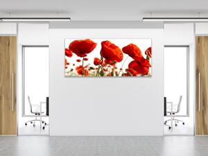 Obraz sklenený kvety vlčie maky - 30 x 60 cm