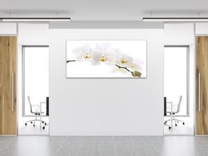 Obraz sklenený kvety biela orchidea - 50 x 100 cm