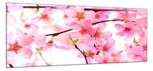 Obraz sklenený vetva ružové kvety - 50 x 70 cm